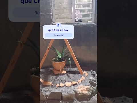 Image youtube